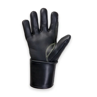 JAV03_palm JAV03_palm