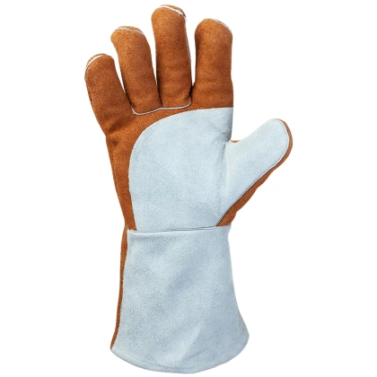 JWK401_palm