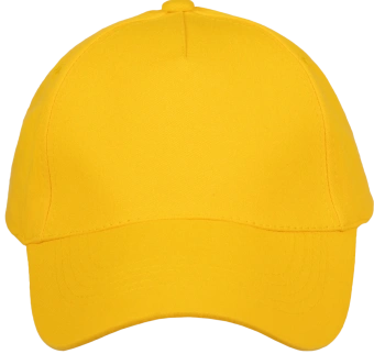 ШАП_003_желт_2