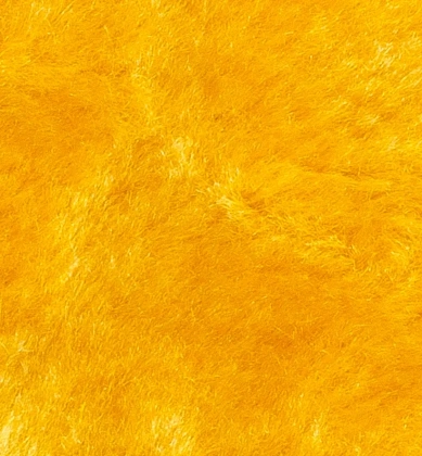 20160708-132821_1935978923