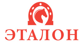 Эталон (обувь)