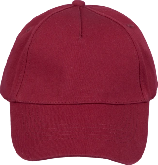 ШАП_003_бордо_2