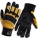 JAV01VP_pair