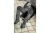 LEMBERG_HT5K802_spodnie-ochronne_1 LEMBERG_HT5K802_spodnie-ochronne_1