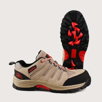 068b2a2a-5582-11f0-bbbe-0050560114b3_ea794be7-62e6-11f0-bbc1-0050560114b3