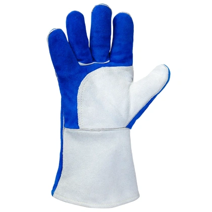 JWK601_palm