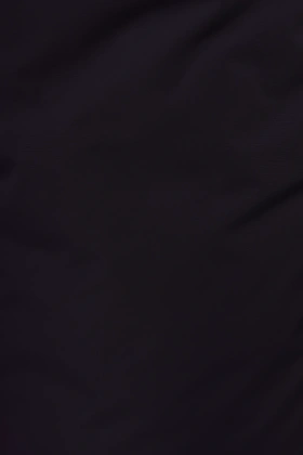 DSC024941