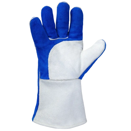JWK601_palm_2