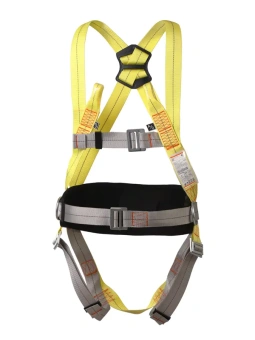 ПОЯ_152_Альфа_2