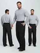 Брюки зимние Европа CH (тк.Дюспо), черный