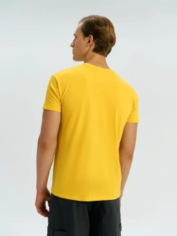 44fb65fc-e535-11eb-bab1-0050560114b3_7ddcc4d4-1f7c-11f0-bbbc-0050560114b3