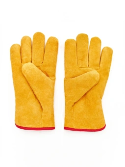 503f54f7-47fc-11ee-bb53-0050560114b3_d97dce01-f676-11ee-bb84-0050560114b3