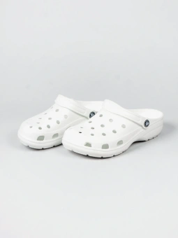 b0f0e773-7efb-11ea-811d-005056916d35_bb6d9b58-cb04-11ee-bb79-0050560114b3