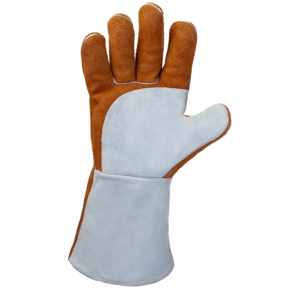 JWK401_palm_2