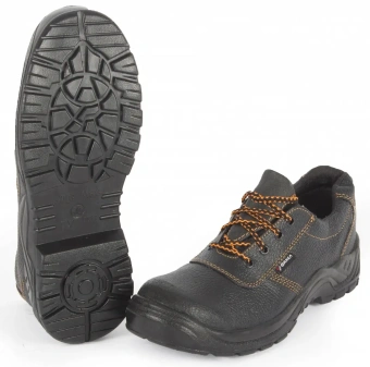 5a2ce018-555f-11e5-9423-00155d428d08_8d0c4f72-8c17-11e9-80f4-005056912b25