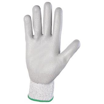 JCP051_palm_new JCP051_palm_new