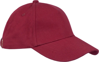 ШАП_003_бордо