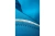 BIESE_HT5K256_kurtka-softshell_elementy-odblaskowe_1 BIESE_HT5K256_kurtka-softshell_elementy-odblaskowe_1
